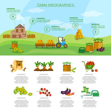 Farm infographics set natural food agricultural objects farming