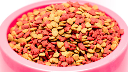 dry cat food in pink bowl isolated on white