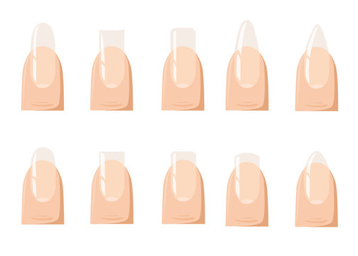 Types of fashion Different nail shapes - Fingernails fashion Vector illustration.