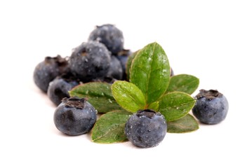Blueberries isolated on white background. 