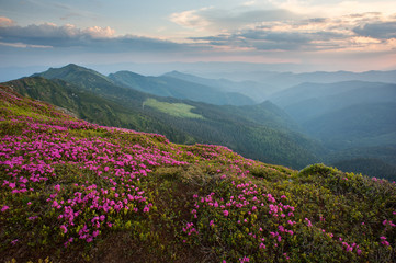 Beautiful sunset in the mountains