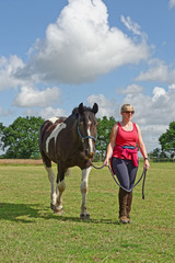 Girl Leading Horse in a Paddock