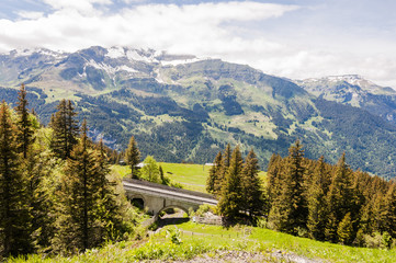 Wengen, Dorf, Alpen, Schweizer Berge, Berner Oberland, Lauberhorn, Wanderweg, Wengeneralp, Sommer,...
