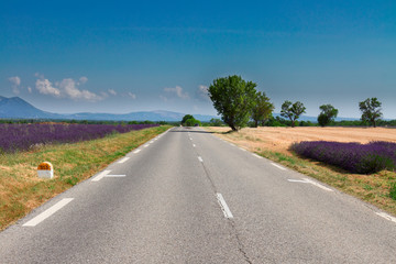 view of country road