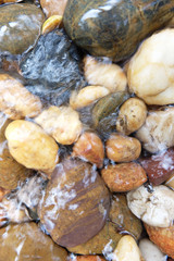 Round stones in a mountain river background.