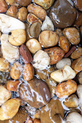 Round stones in a mountain river background.