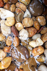 Round stones in a mountain river background.