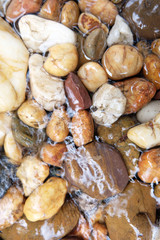 Round stones in a mountain river background.