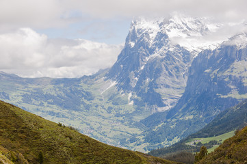 Fototapeta na wymiar Grindelwald, Berner Oberland, Kleine Scheidegg, Wetterhorn, Bergtal, Schreckhorn, Alpen, Grosse Scheidegg, Wanderweg, Sommer, Schweiz
