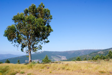 Obraz premium Serra da Lousã, Coimbra, Portugal