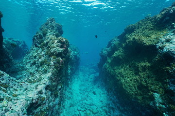 Underwater landscape on the outer reef carved by the swell, Huahine island, Pacific ocean, French...
