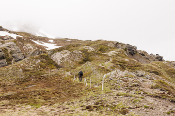 Grindelwald, Berner Oberland, Alpen, Lauberhorn, Wanderweg, Wanderer, Kleine Scheidegg, Schweizer...