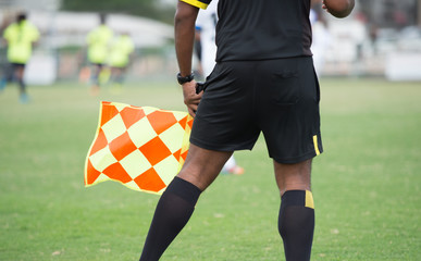 Assistant football referee and Referee's flag