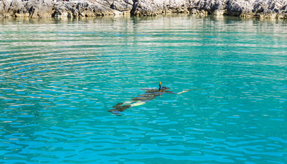 underwater hunter with a gun in a mask. speargun