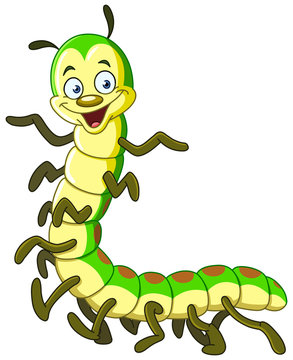 Caterpillar millipede