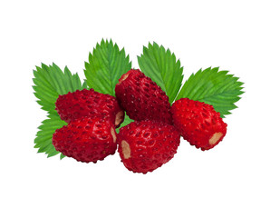 Photography of wild strawberry with leaf isolated on white