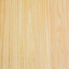 Texture of wood background