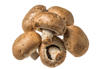 マッシュルーム　 Mushrooms