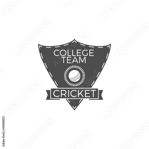 cricket college team emblem and shield logo design club badge create a sport logo