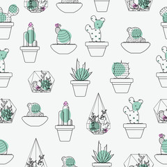 Cactus and succulent seamless line  pattern vector background