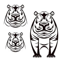 Hippo