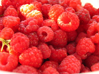 raspberries