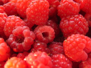 raspberries