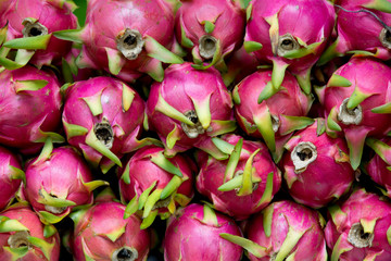 Dragon fruit on market stand