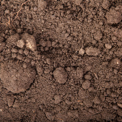 Soils for plants background