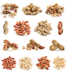 Collection of peanuts