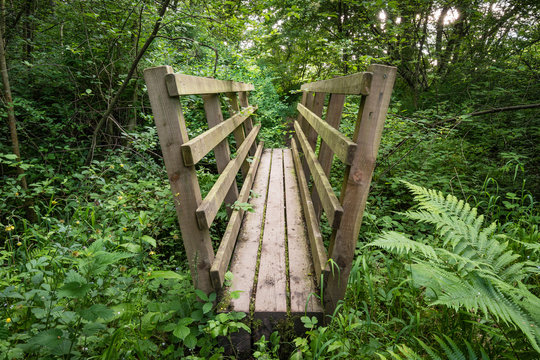 Footbridge in woodland / Close to Weldon Bridge in Northumberland, is a riverside, woodland walk, over this footbridge