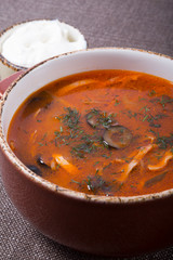 Russian soup with sour cream