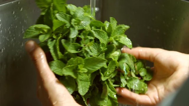 Male hands wash mint. Mint leaves under water flow. Fresh and fragrant. Cafe chef cleaning greenery.