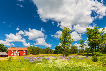 Typical swedish farmhouse in spring