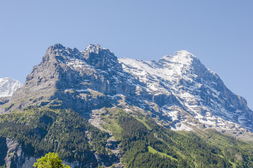 Grindelwald, Dorf, Eiger, Eigernordwand, Alpen, Schweizer Berge, Berner Alpen, Wanderferien, Berner Oberland, Sommer, Schweiz