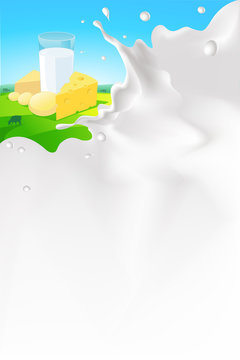 vector white splash milk illustration background with cheese and glass of milk in nature