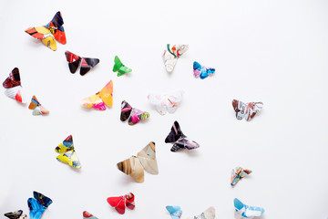 Schmetterlinge auf weiss-Papierfalter