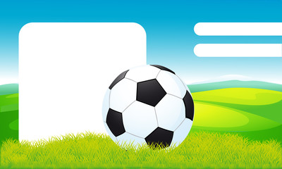 soccer ball lying on the grass, frame design - vector illustration
