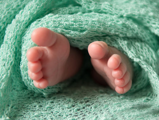 lovely newborn feet in green blanket, close-up
