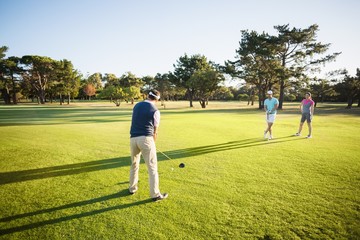 Obraz premium People playing golf together