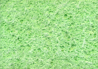 Sponge. Abstract texture