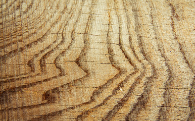 Fototapeta premium wood texture