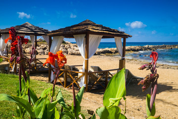 Romantic coastline with pergolas and flowers