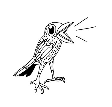 Hand drawn bird doodle