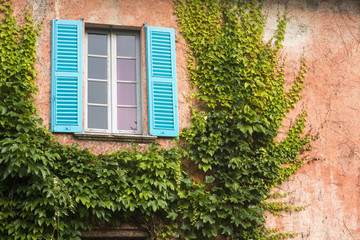 Fototapeta na wymiar Window and ivy on a typical Italian country house