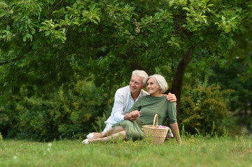 Naklejka na ściany i meble Amusing old couple in summer park