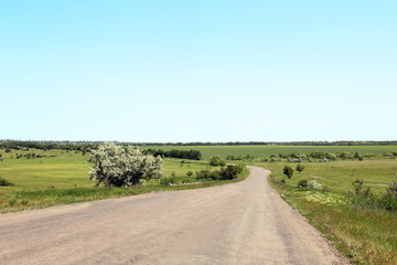 Fototapeta premium Road in field