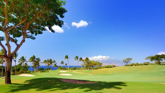 4K Vibrant Blue Sky and Green Grass Landscape, Tropical Golf Course  in Paradise