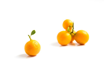Orange Kumquat placed on whte background