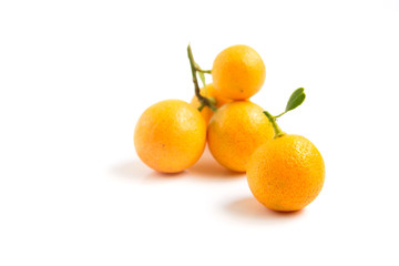 Orange Kumquat placed on whte background